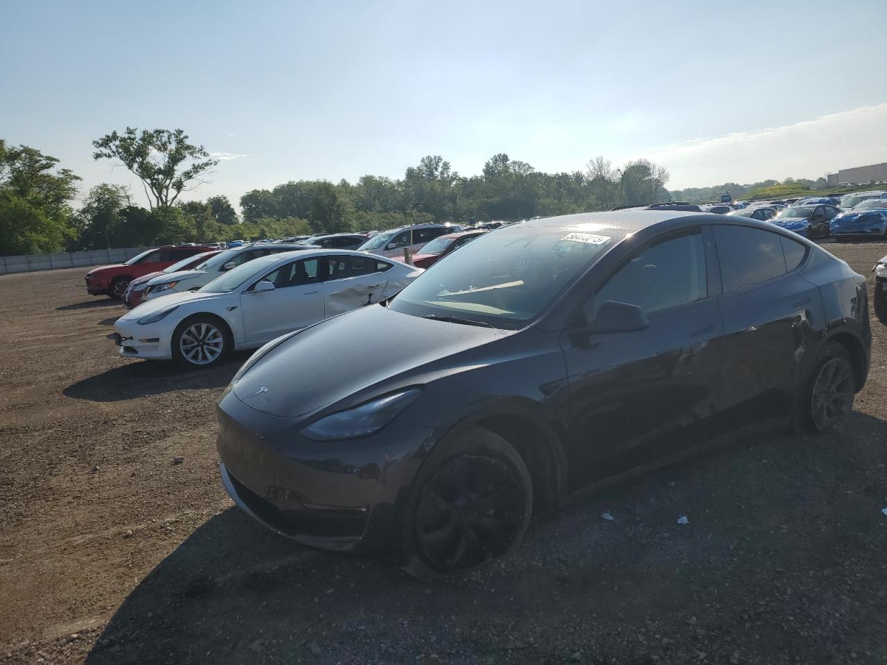 TESLA MODEL Y 2024