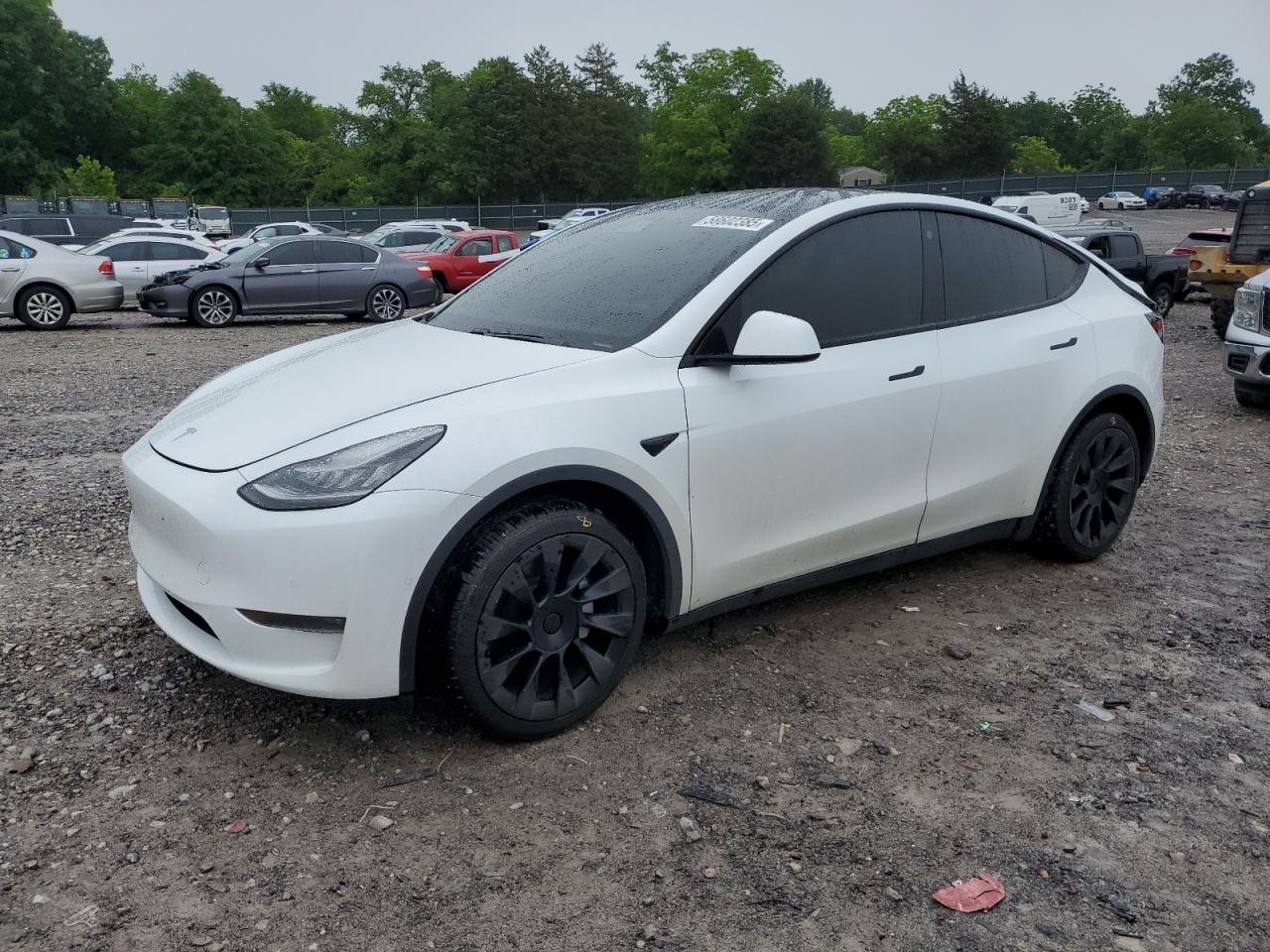 TESLA MODEL Y 2021