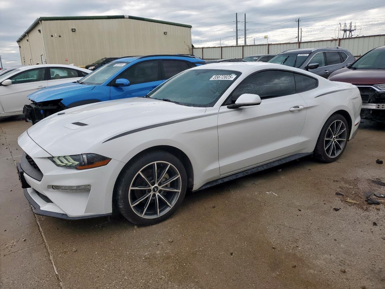 FORD MUSTANG 2019