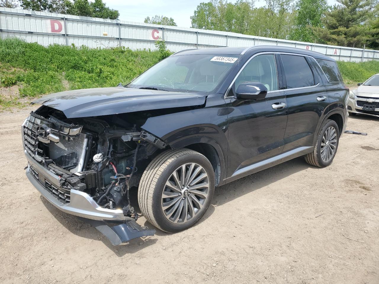 HYUNDAI PALISADE C 2024
