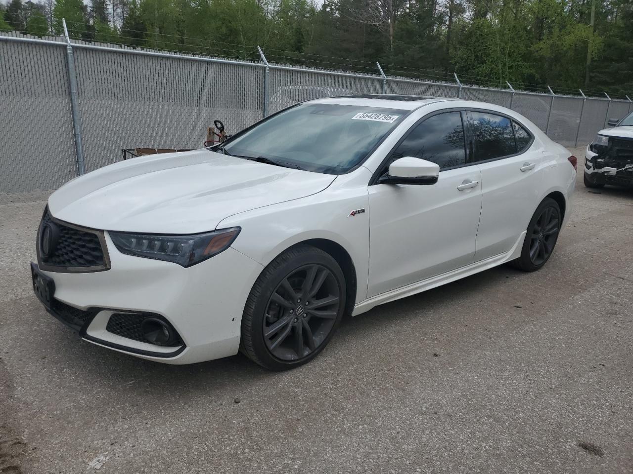 ACURA TLX ADVANC 2019