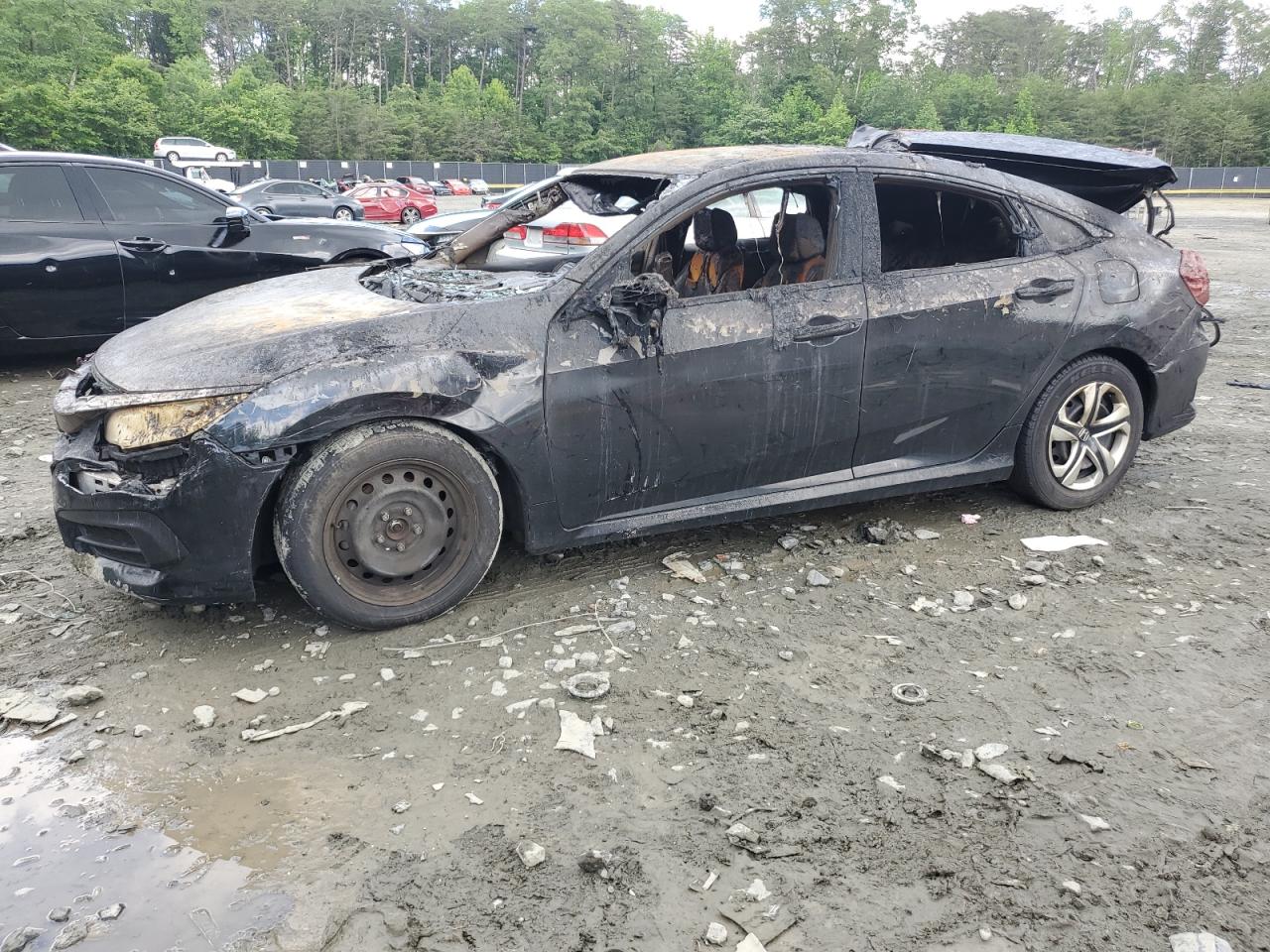HONDA CIVIC LX 2017