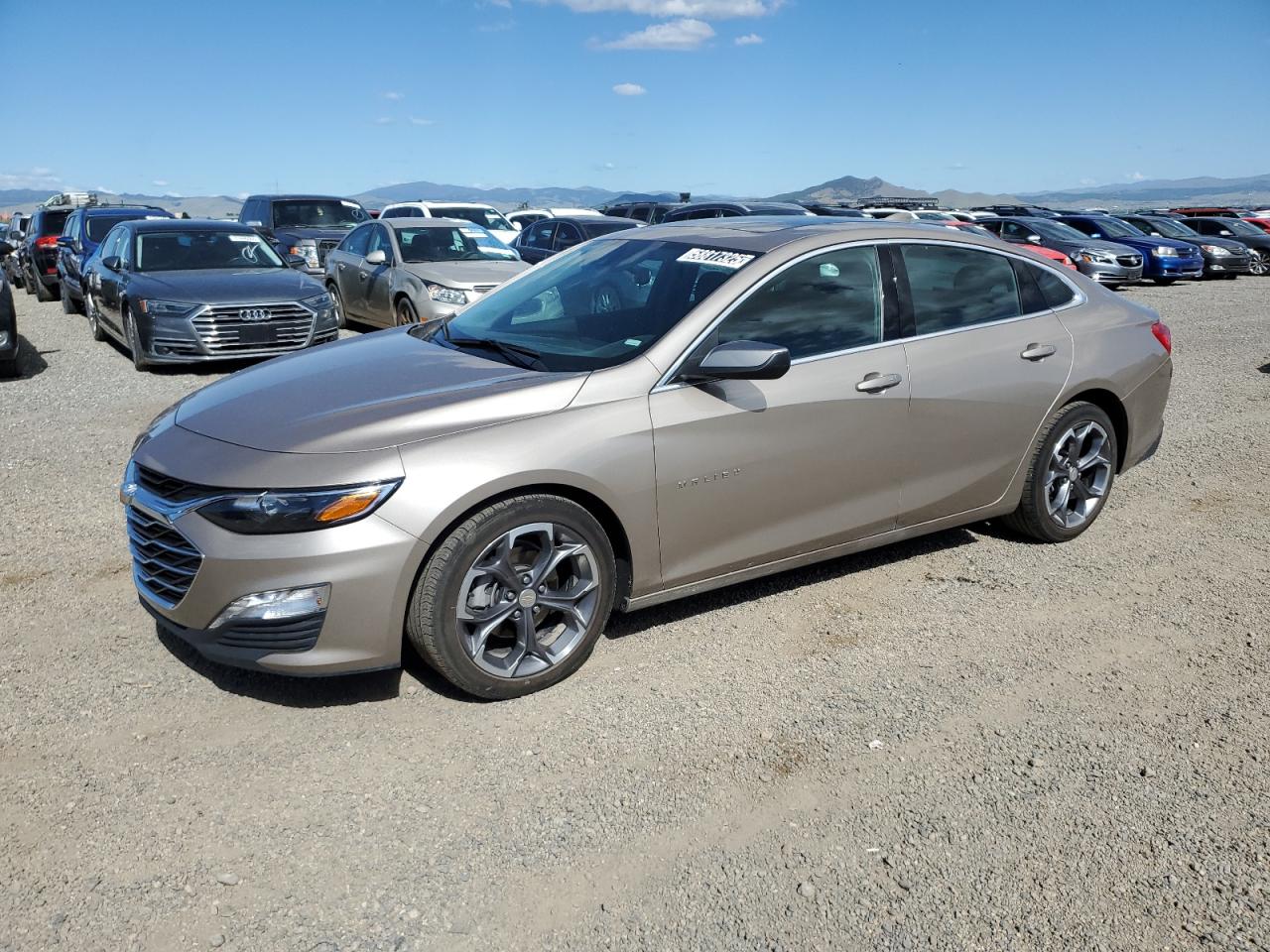 CHEVROLET MALIBU LT 2024