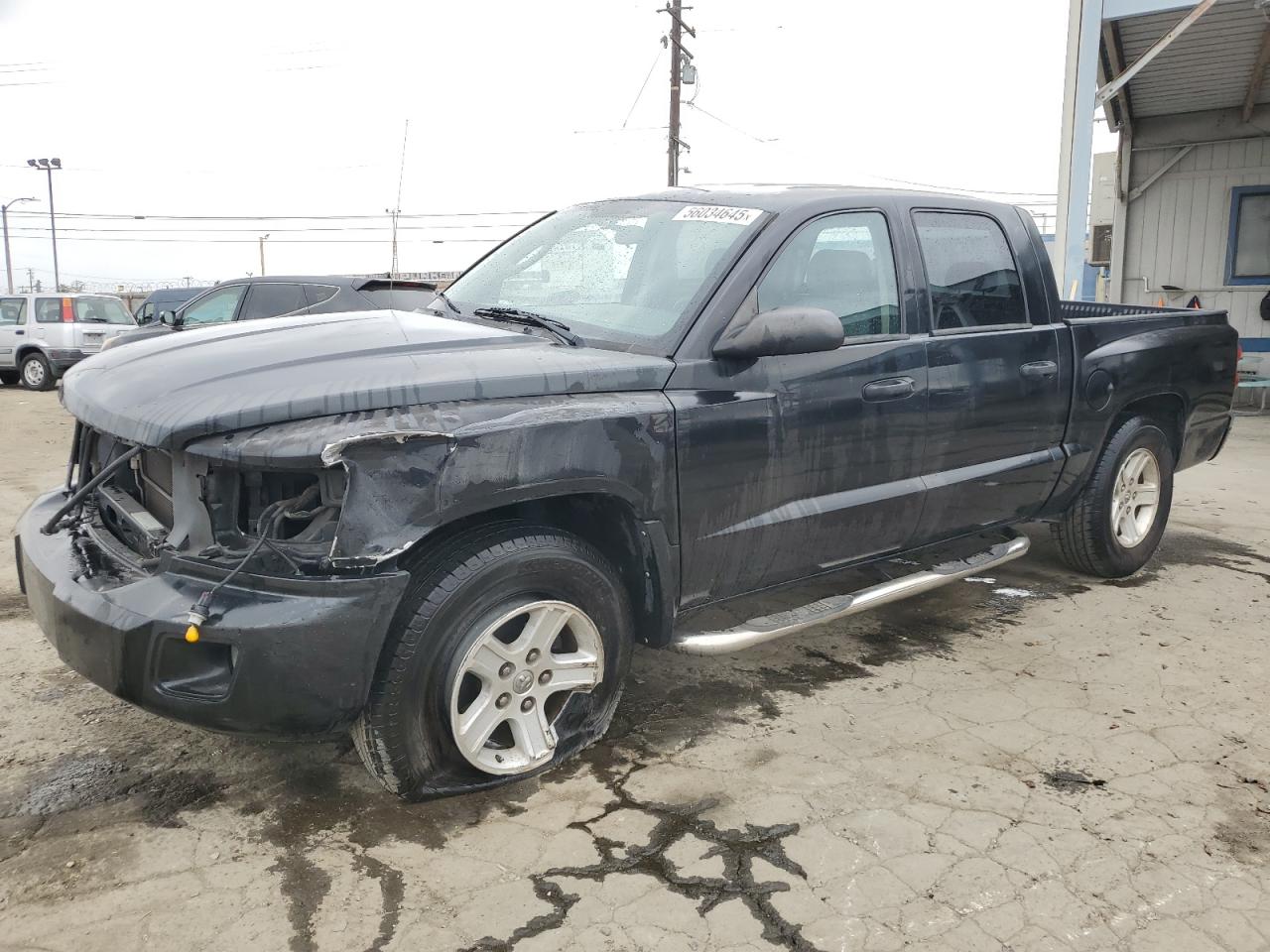 DODGE DAKOTA 2009