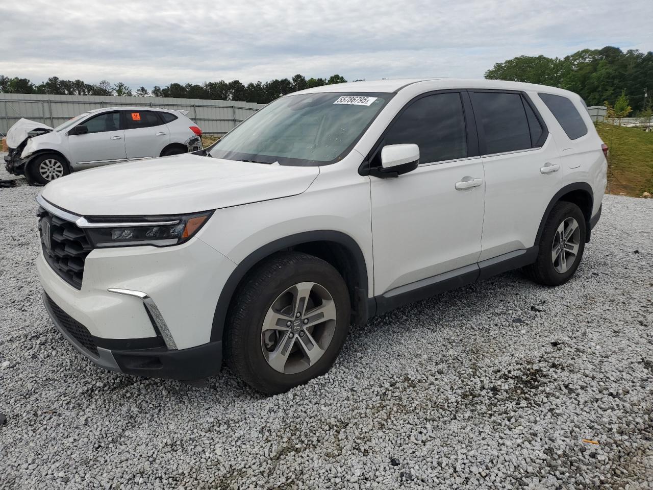 HONDA PILOT EXL 2024