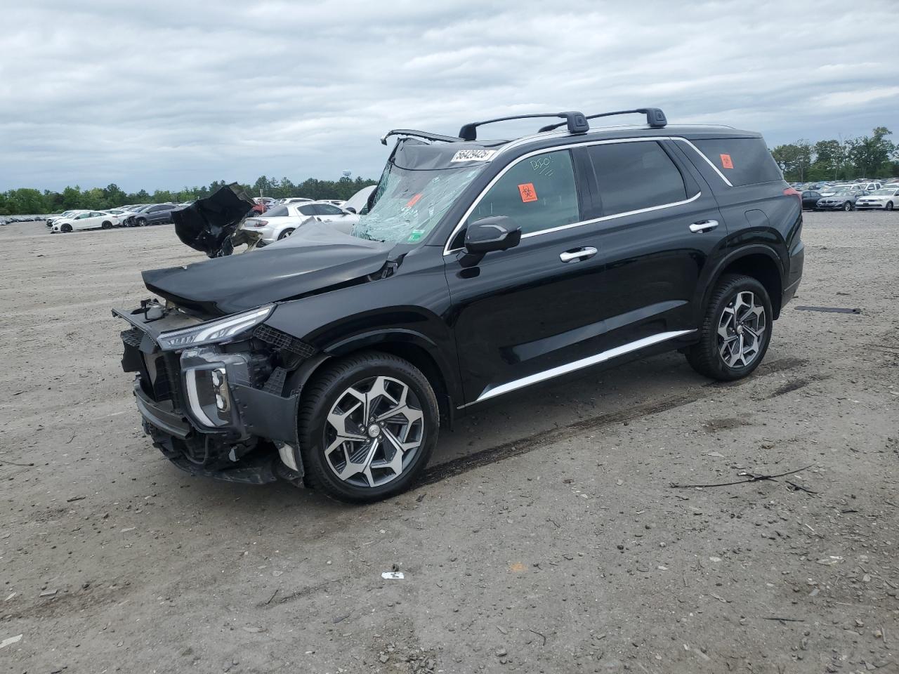 HYUNDAI PALISADE C 2021