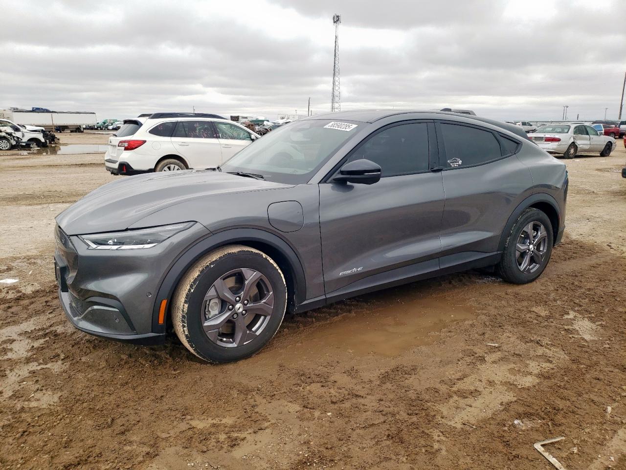 FORD MUSTANG MA 2023