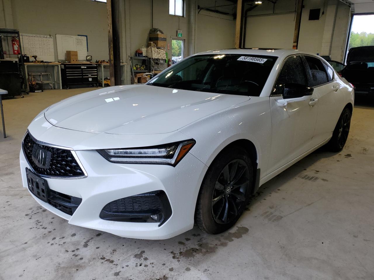 ACURA TLX 2021