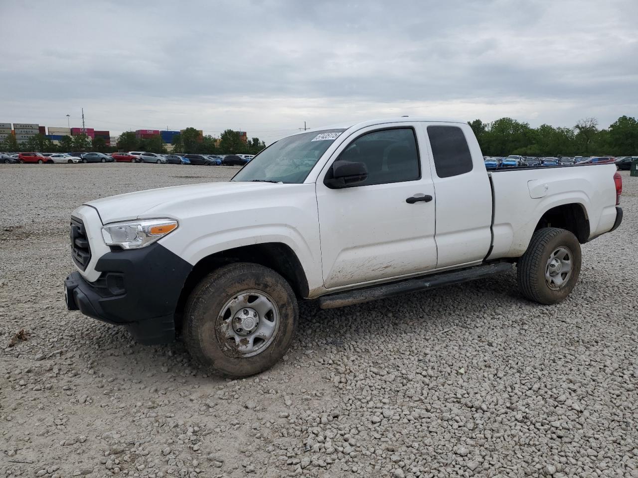 TOYOTA TACOMA ACC 2019