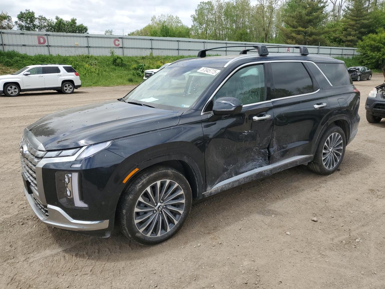 HYUNDAI PALISADE C 2024