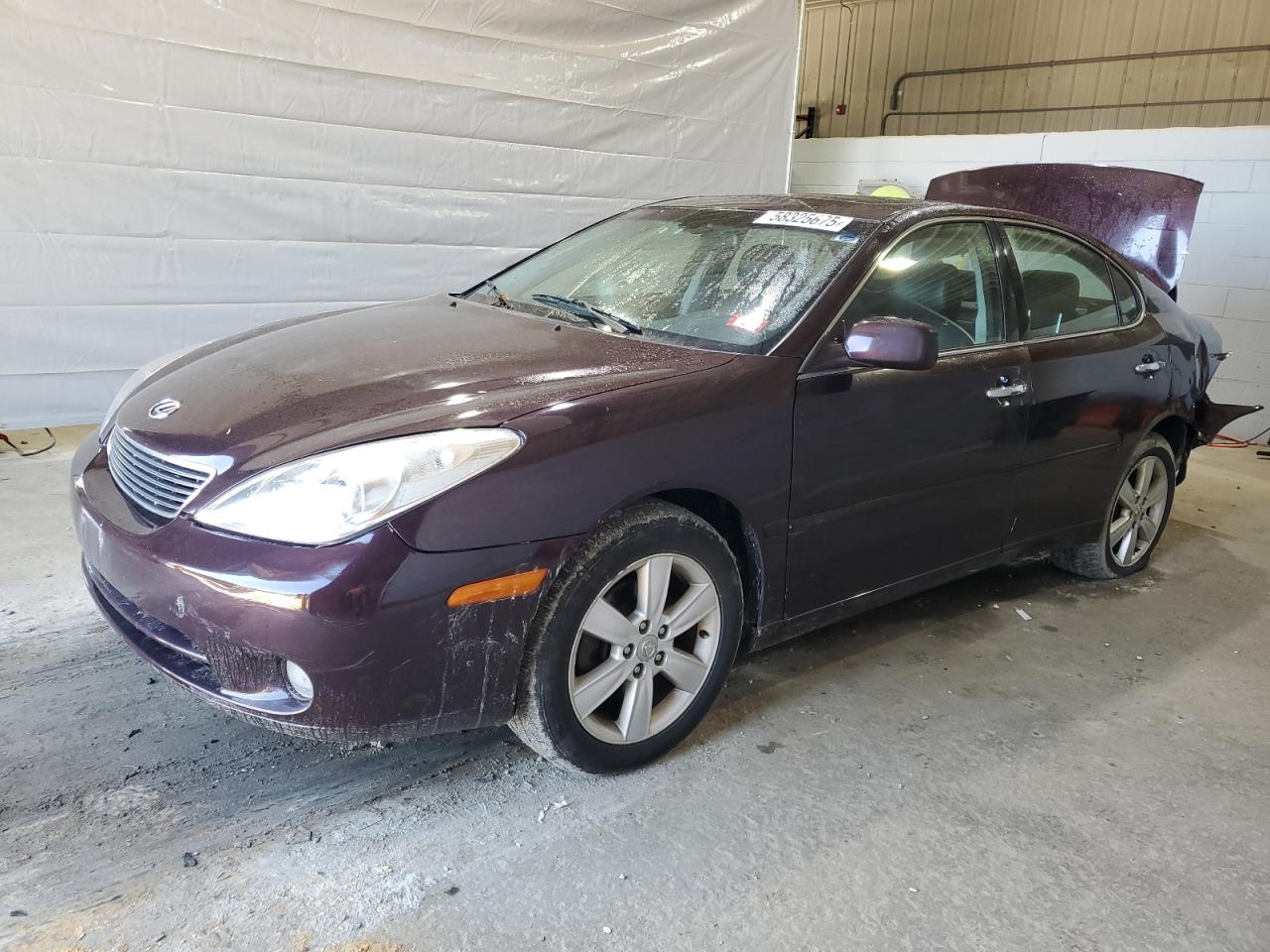 LEXUS ES 330 2005
