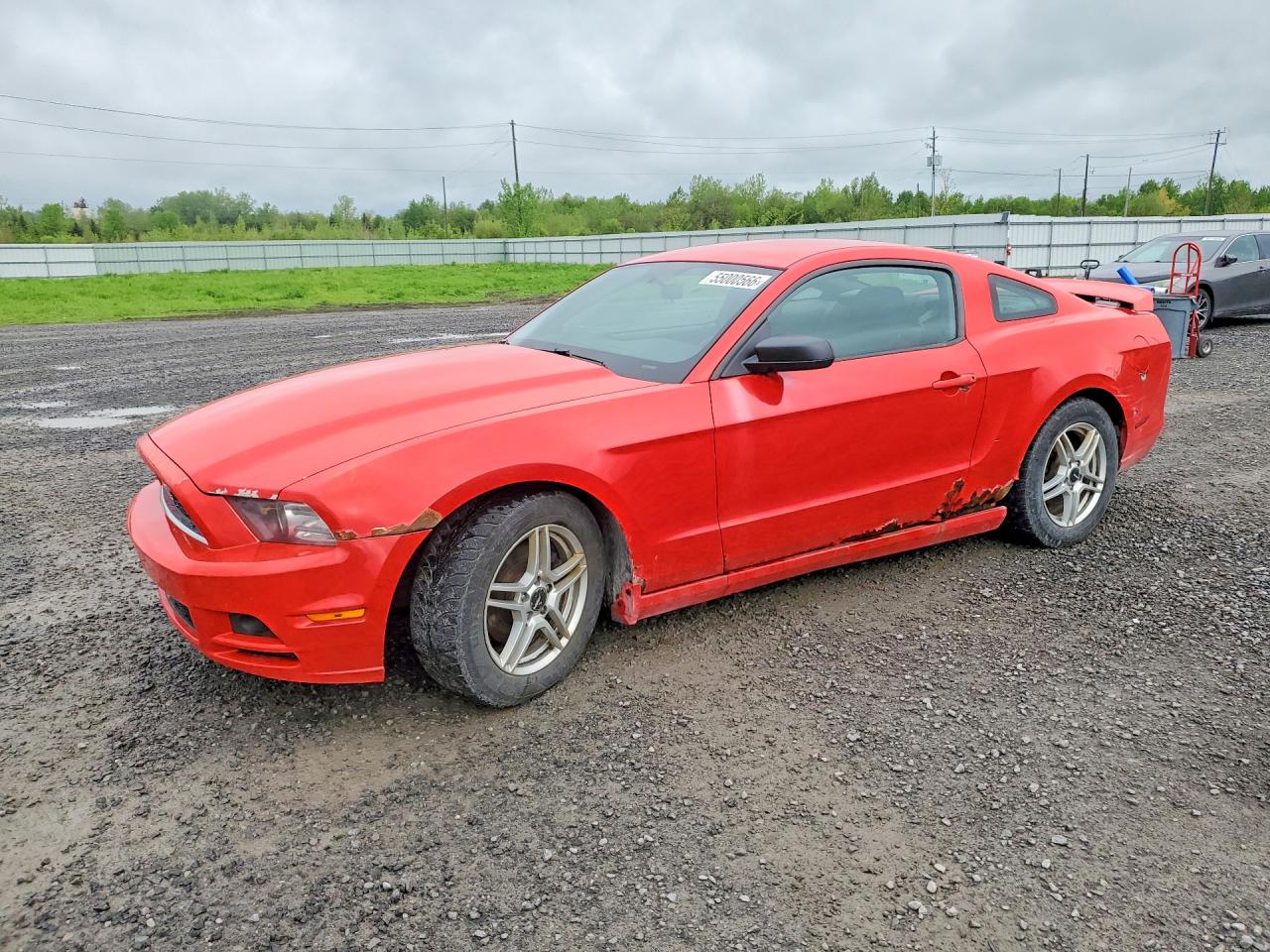 FORD MUSTANG 2014