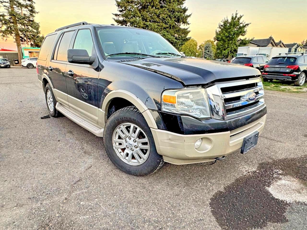 FORD EXPEDITION 2010