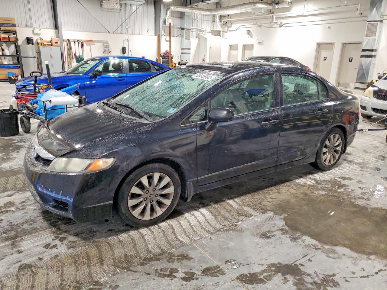 HONDA CIVIC 2011