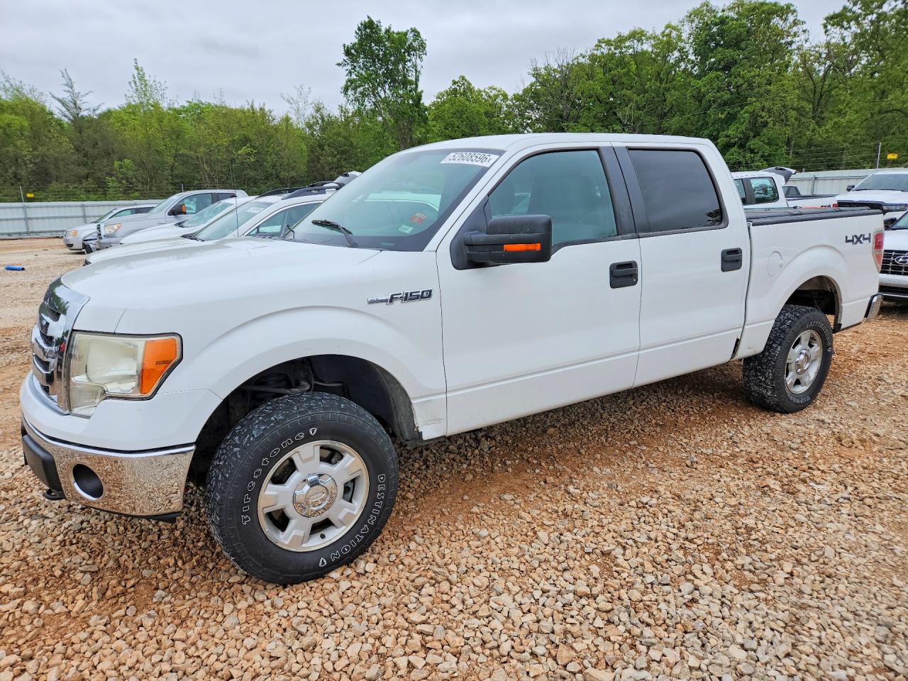 FORD F-150 2012