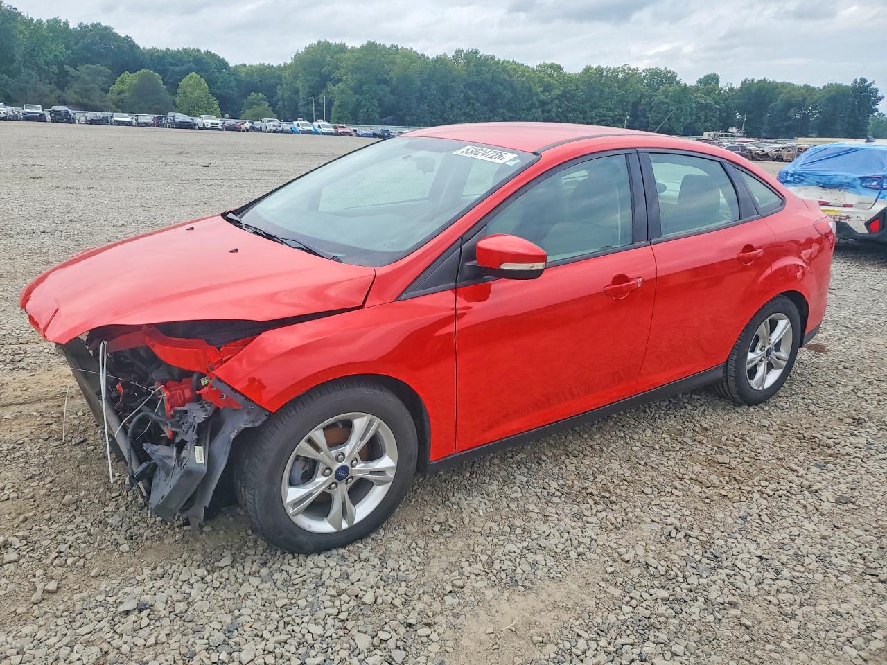 FORD FOCUS 2014