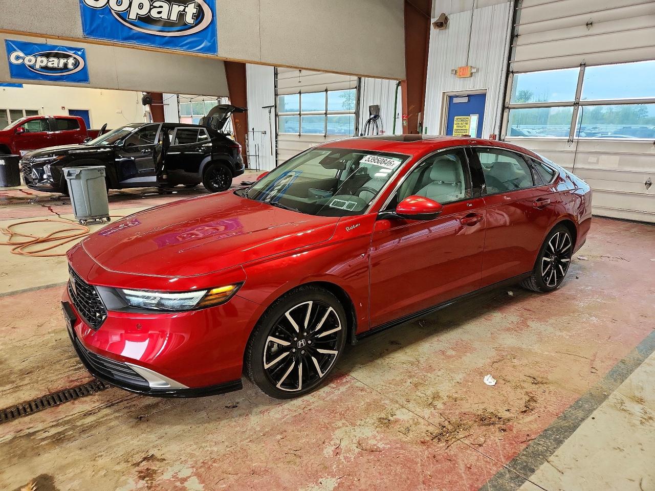 HONDA ACCORD 2024