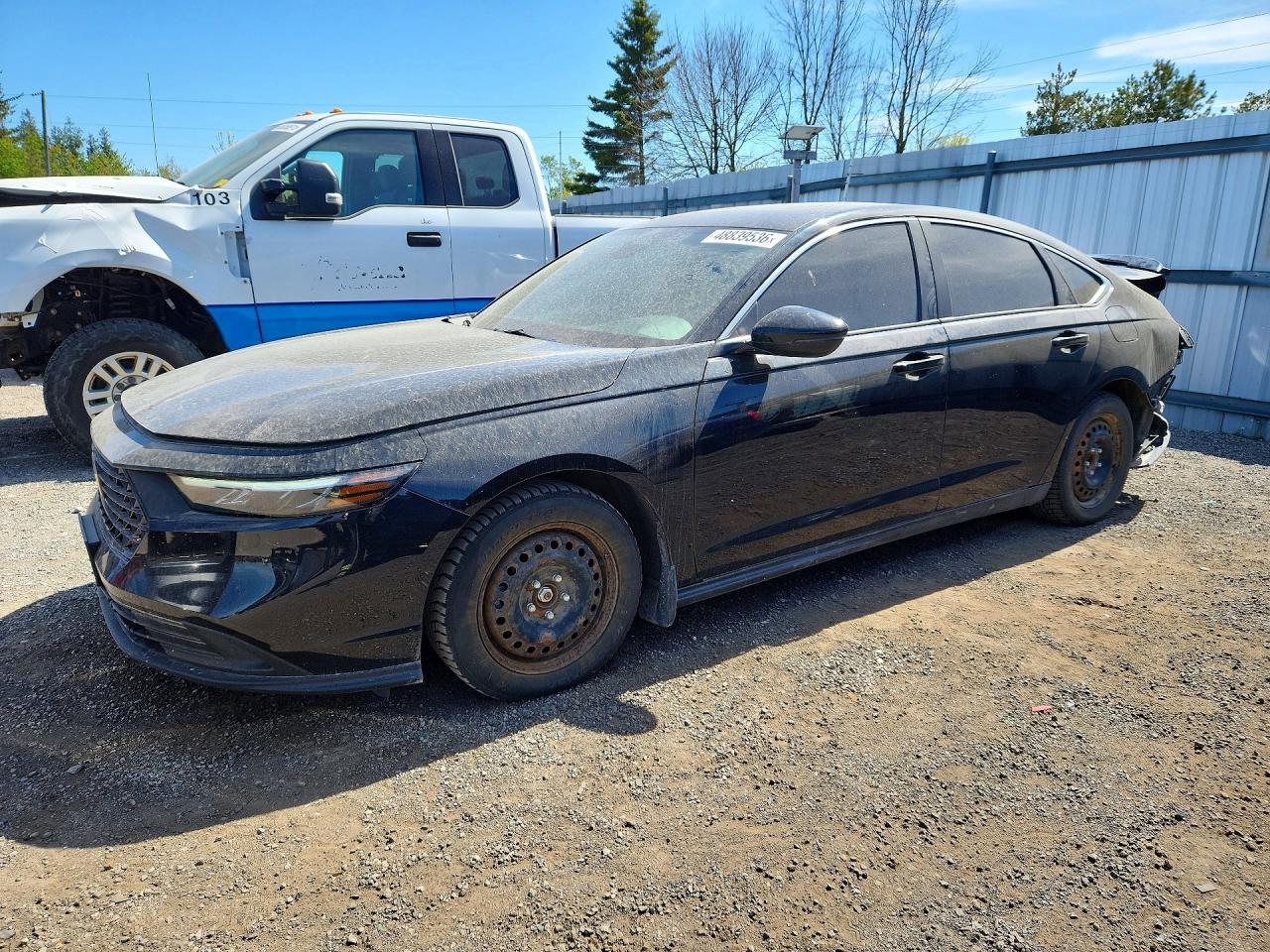 HONDA ACCORD 2023
