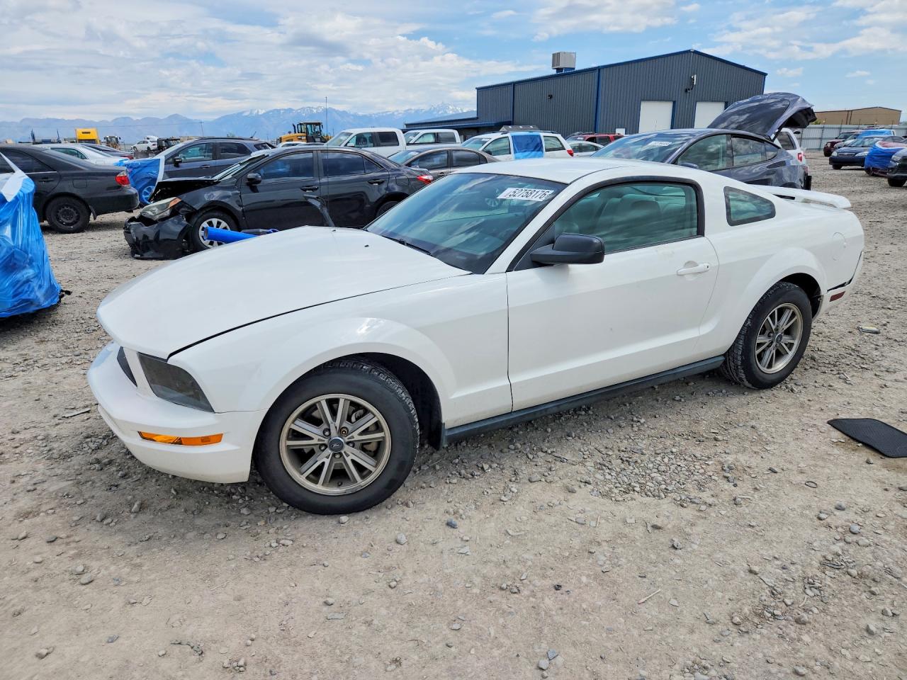 FORD MUSTANG 2005