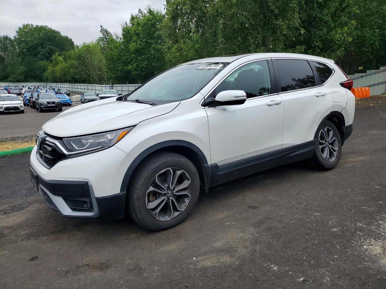 HONDA CR-V 2021