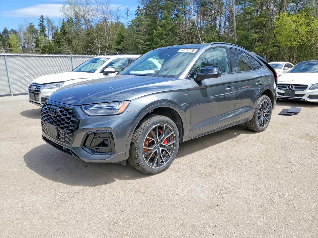 AUDI Q5 2024