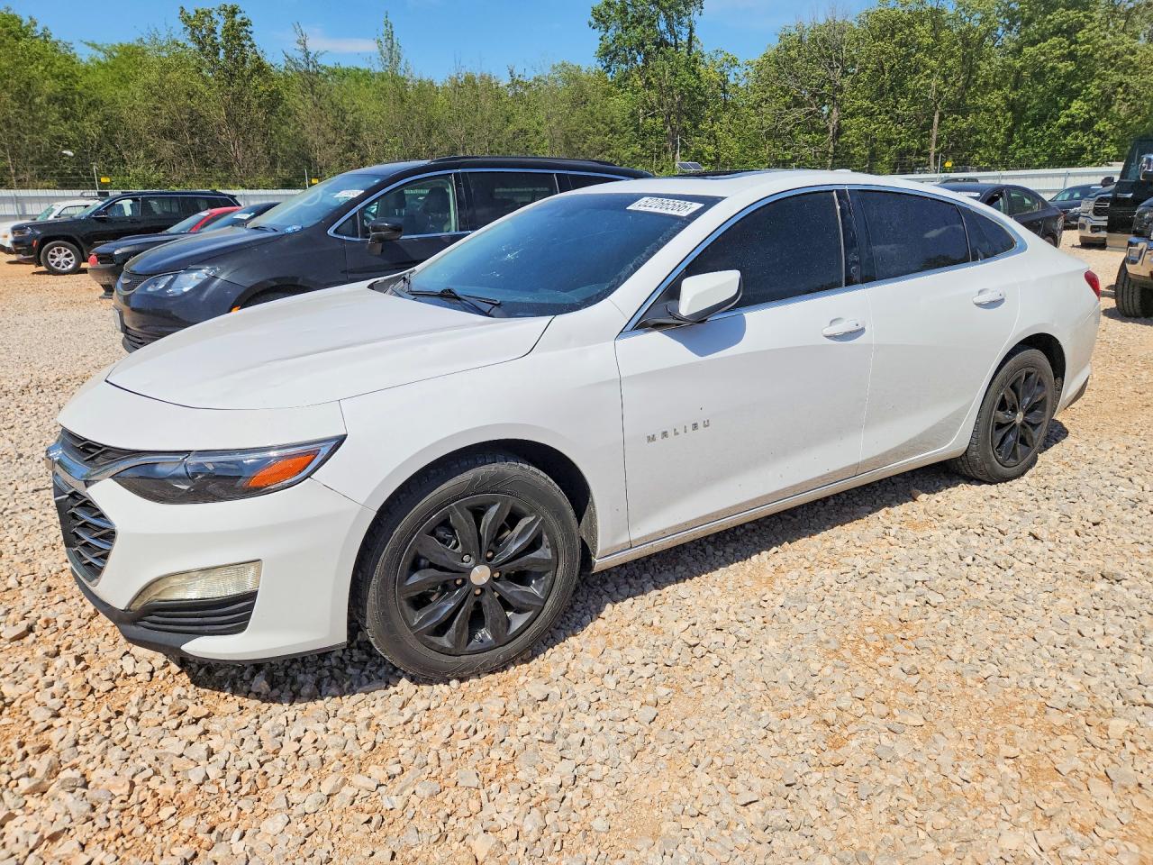 CHEVROLET MALIBU 2024