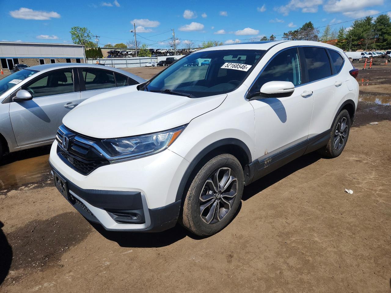 HONDA CR-V 2022
