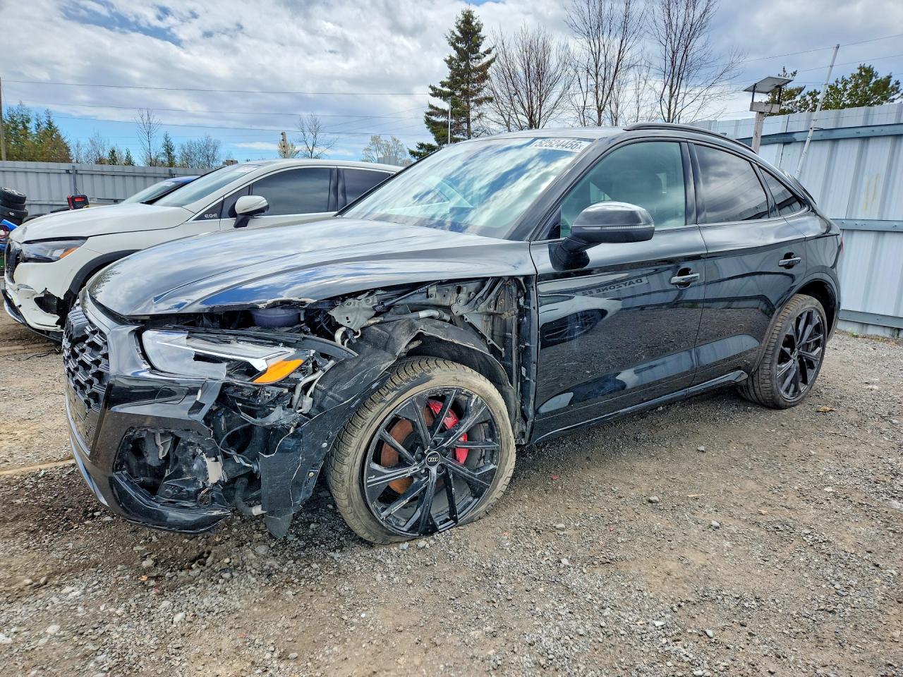AUDI SQ5 2024