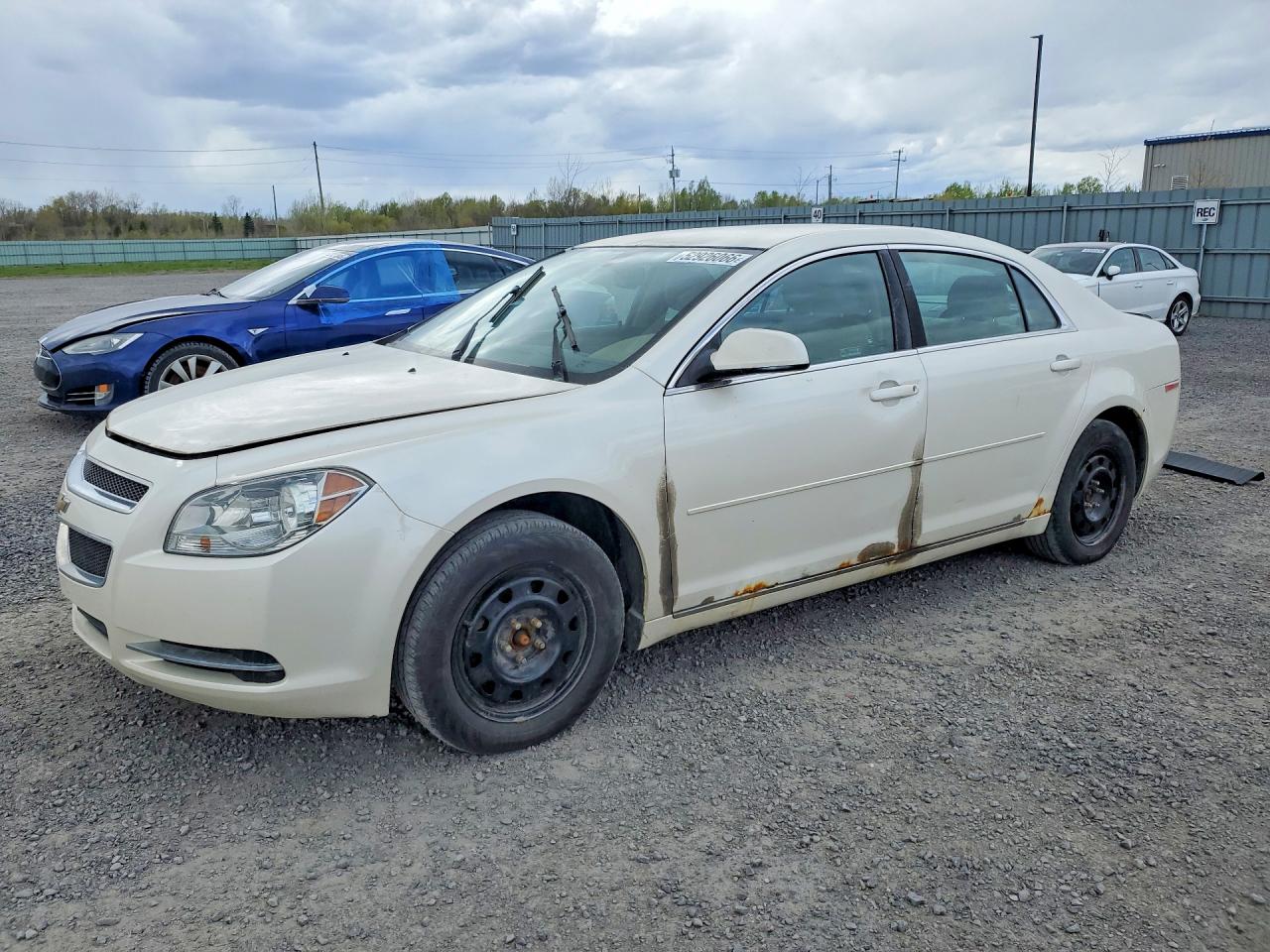 CHEVROLET MALIBU 2011