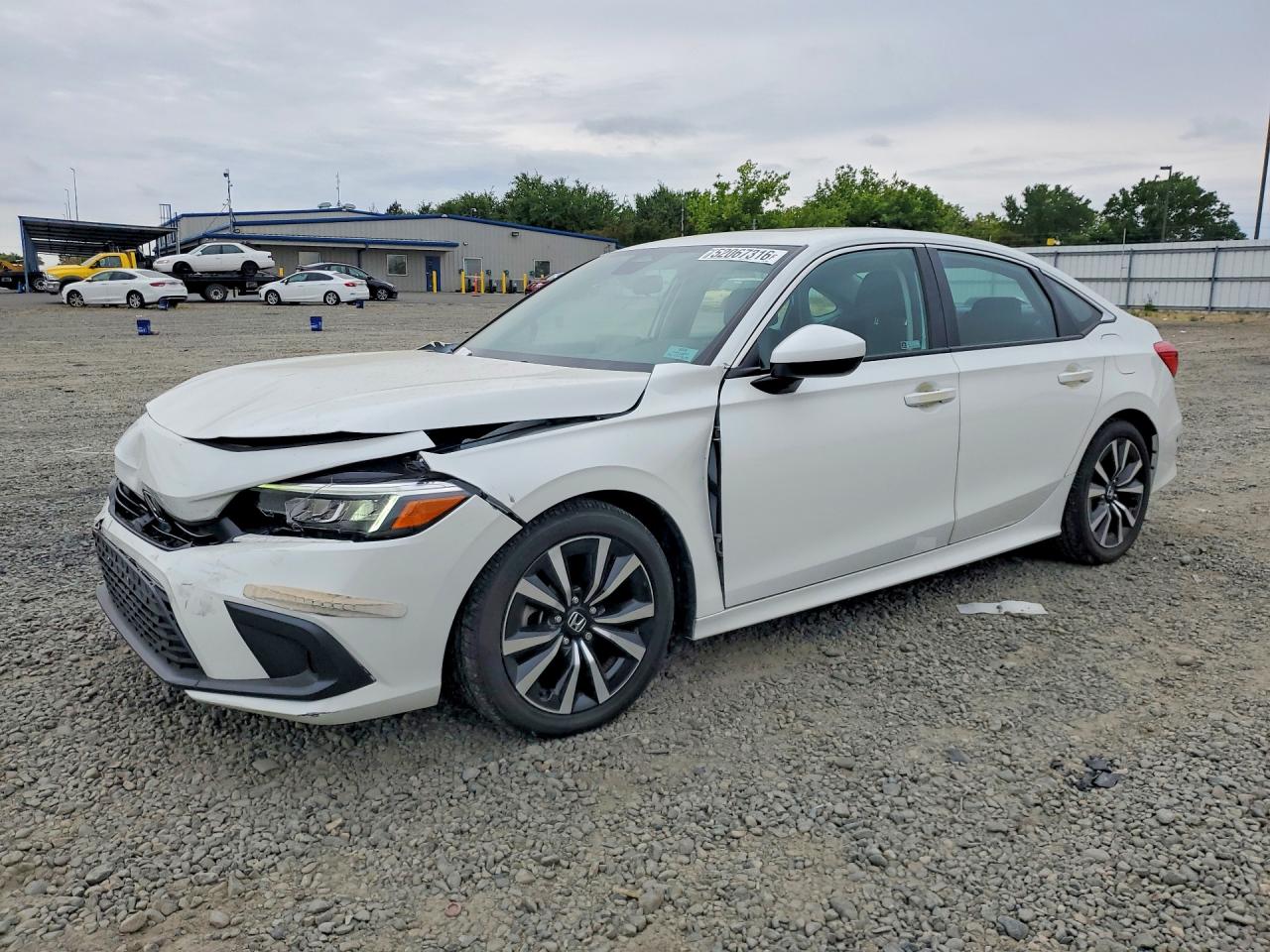 HONDA CIVIC 2024