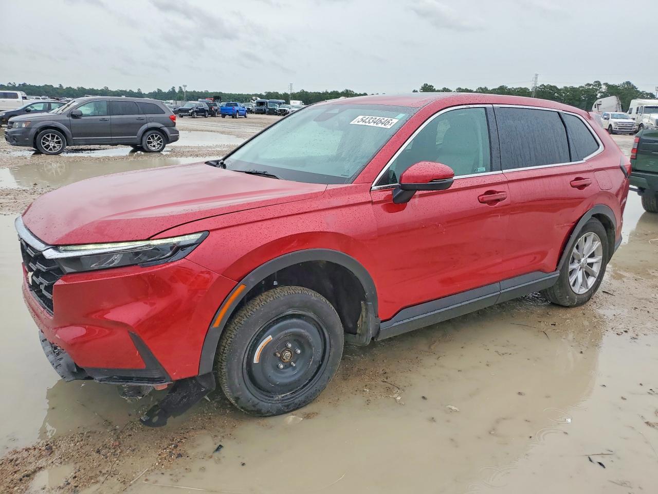 HONDA CR-V 2024