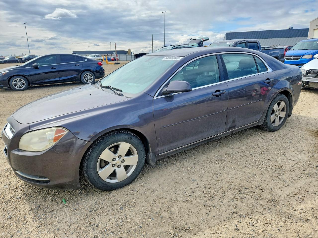 CHEVROLET MALIBU 2010
