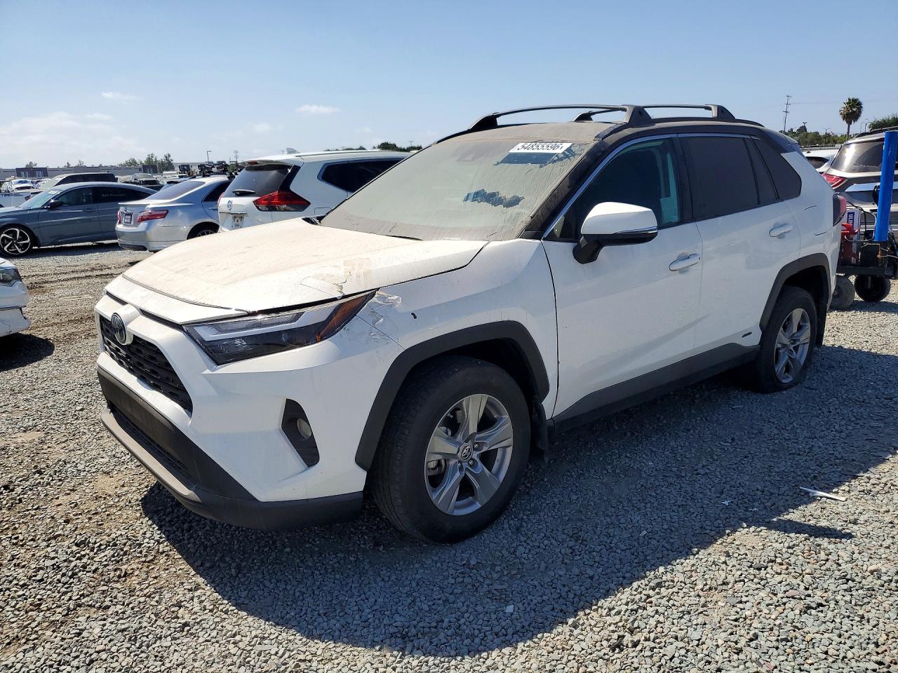 TOYOTA RAV4 2024