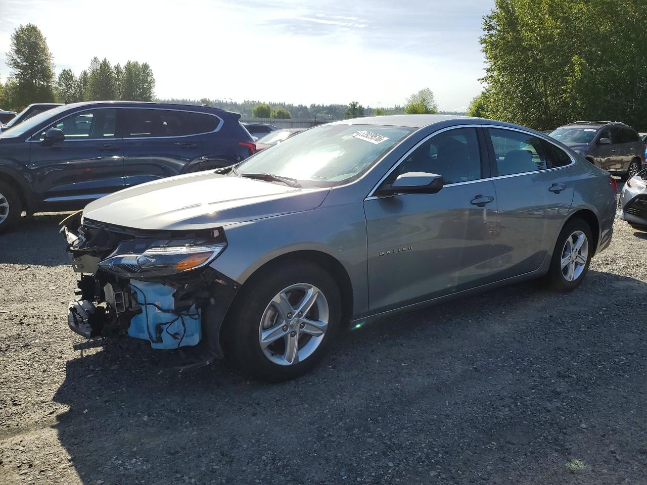 CHEVROLET MALIBU 2024
