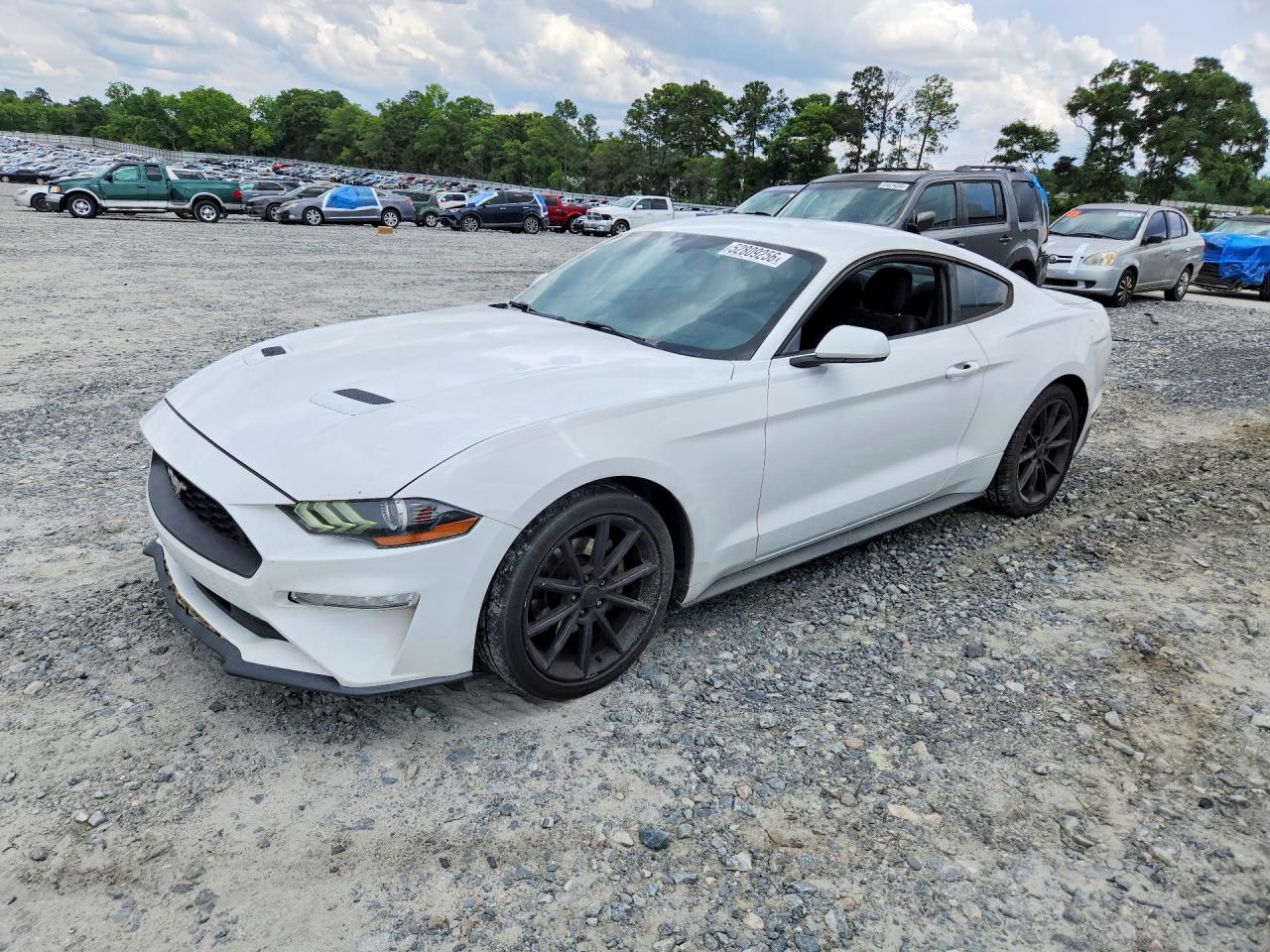 FORD MUSTANG 2019
