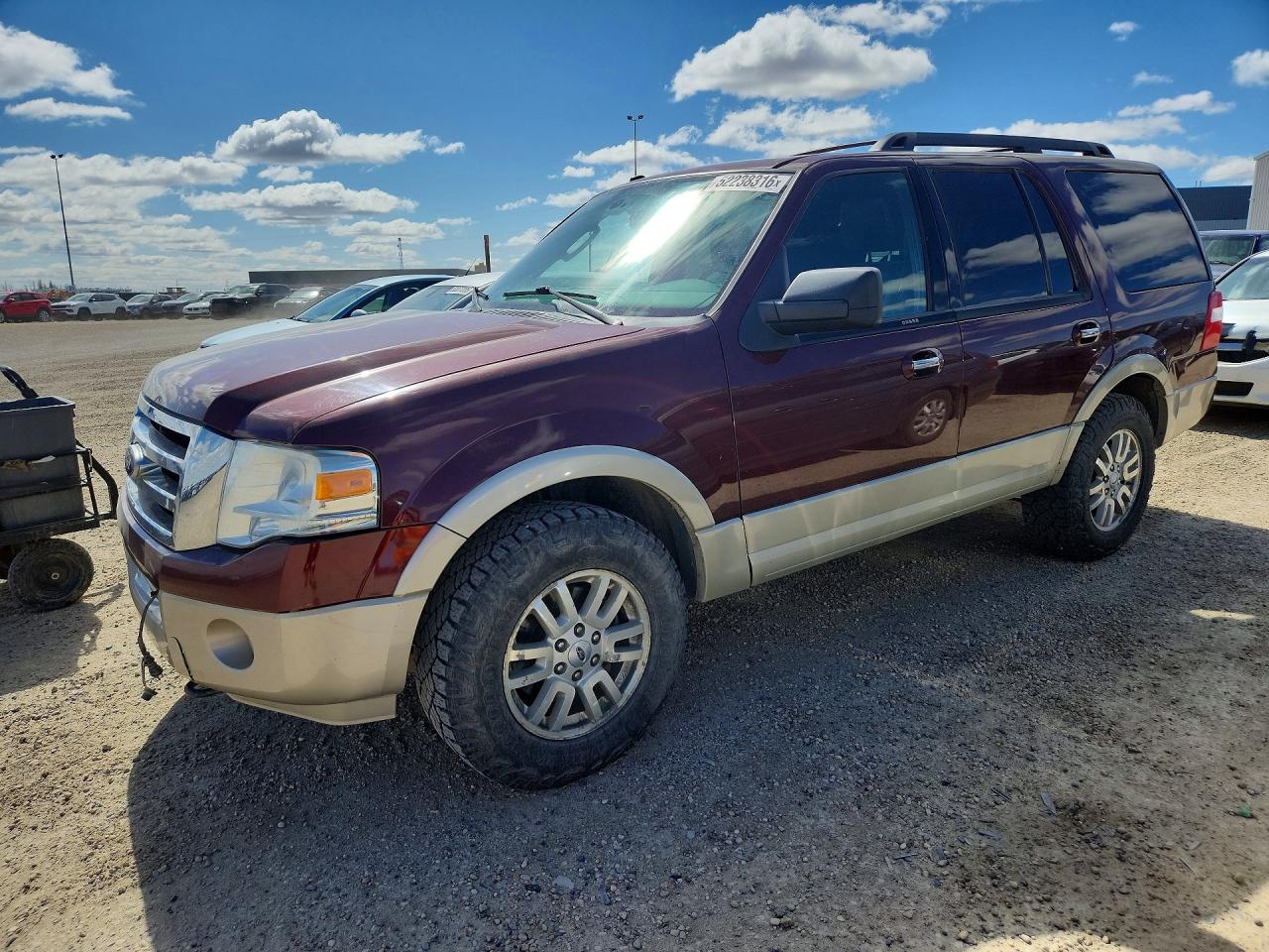 FORD EXPEDITION 2010