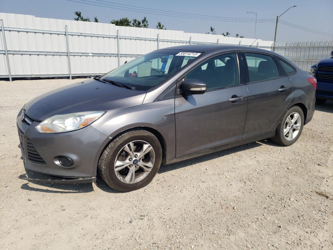 FORD FOCUS SE 2014