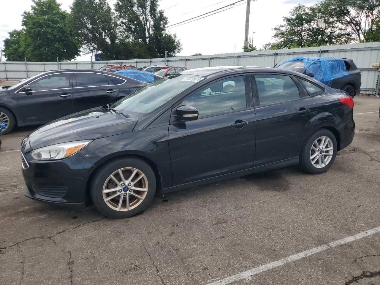 FORD FOCUS SE 2015