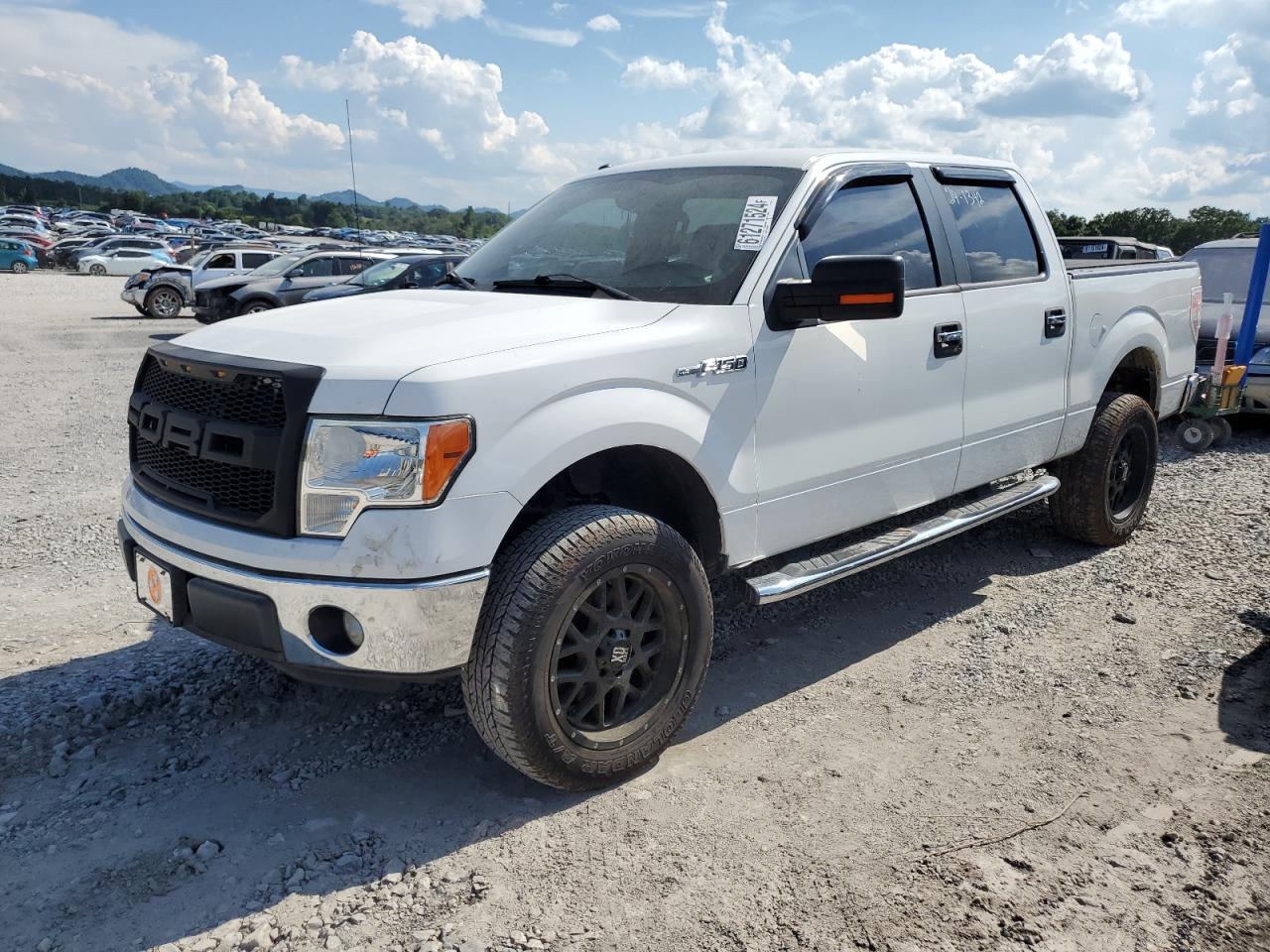 FORD F-150 2012