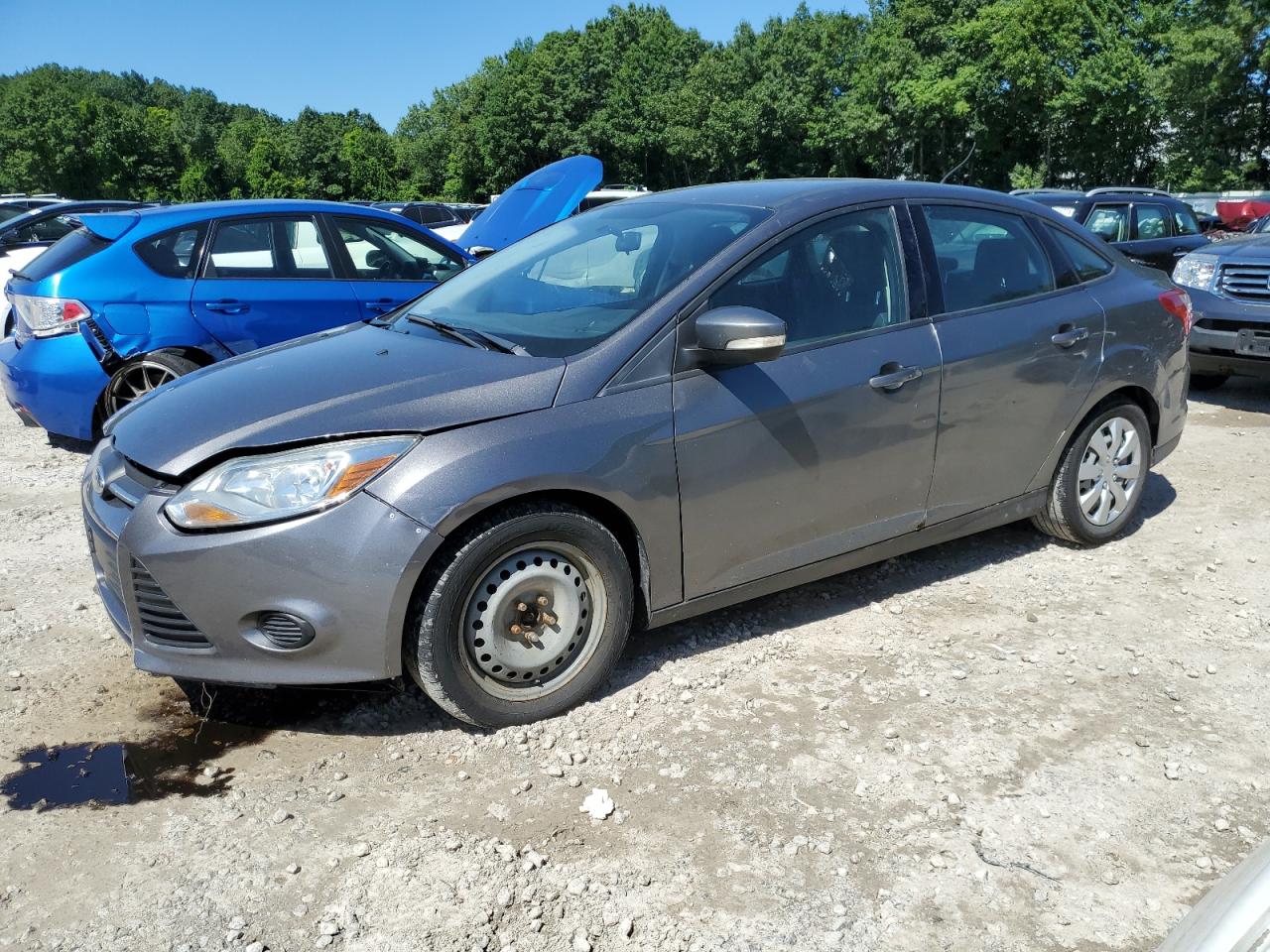 FORD FOCUS SE 2014