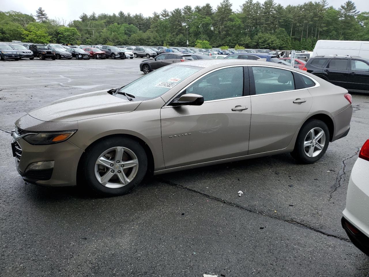 CHEVROLET Malibu Lt 2022