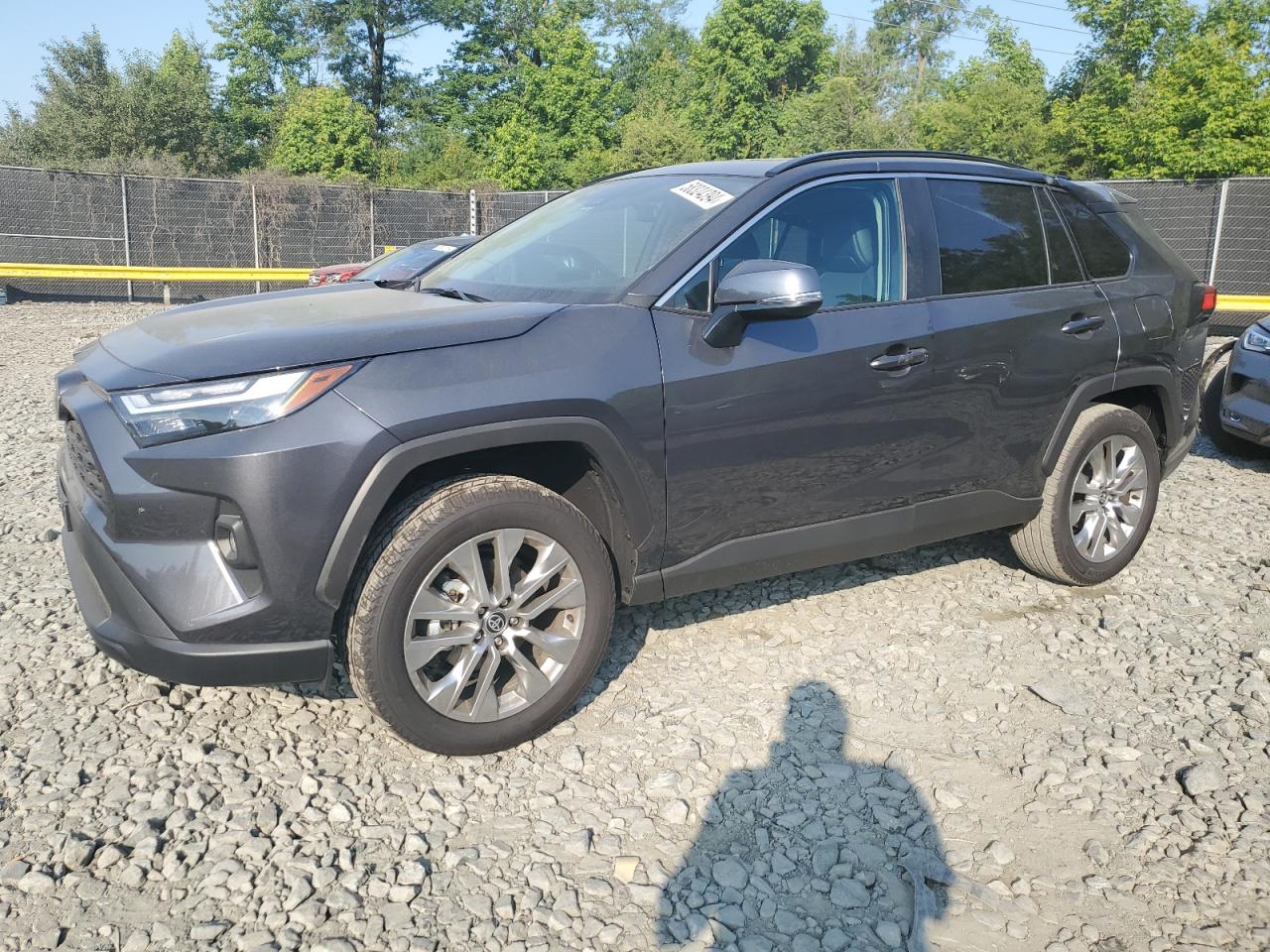 TOYOTA RAV4 XLE P 2024