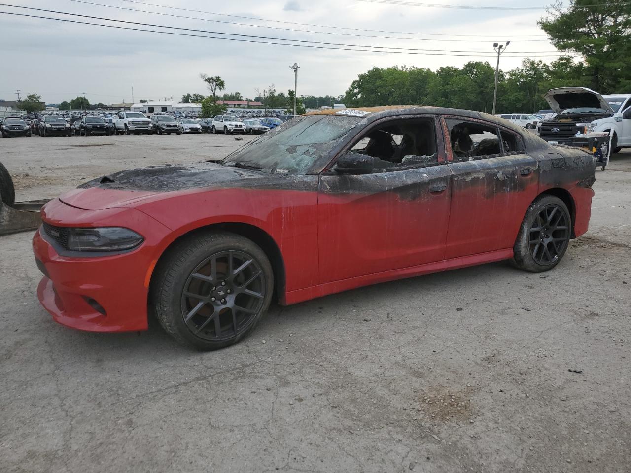 DODGE CHARGER R/ 2017