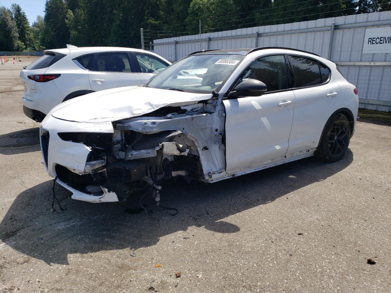 ALFA ROMEO Stelvio 2019
