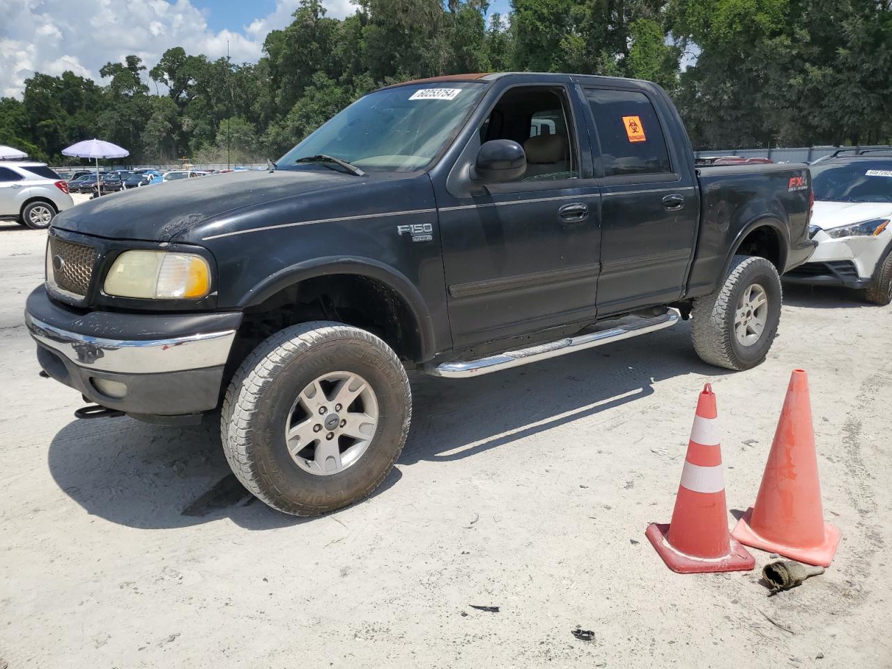 FORD F-150 2003