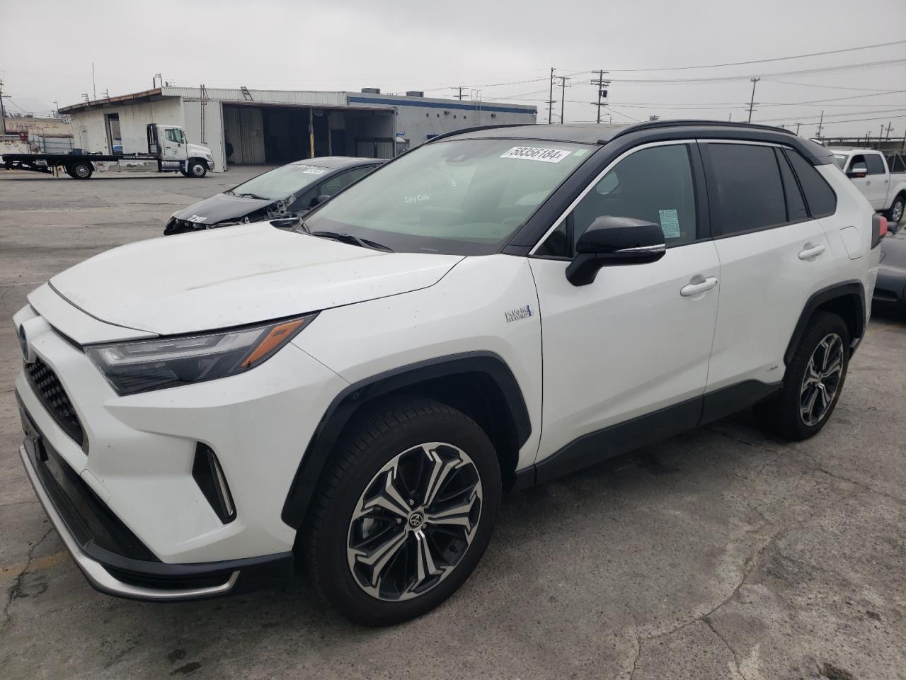 TOYOTA RAV4 2023