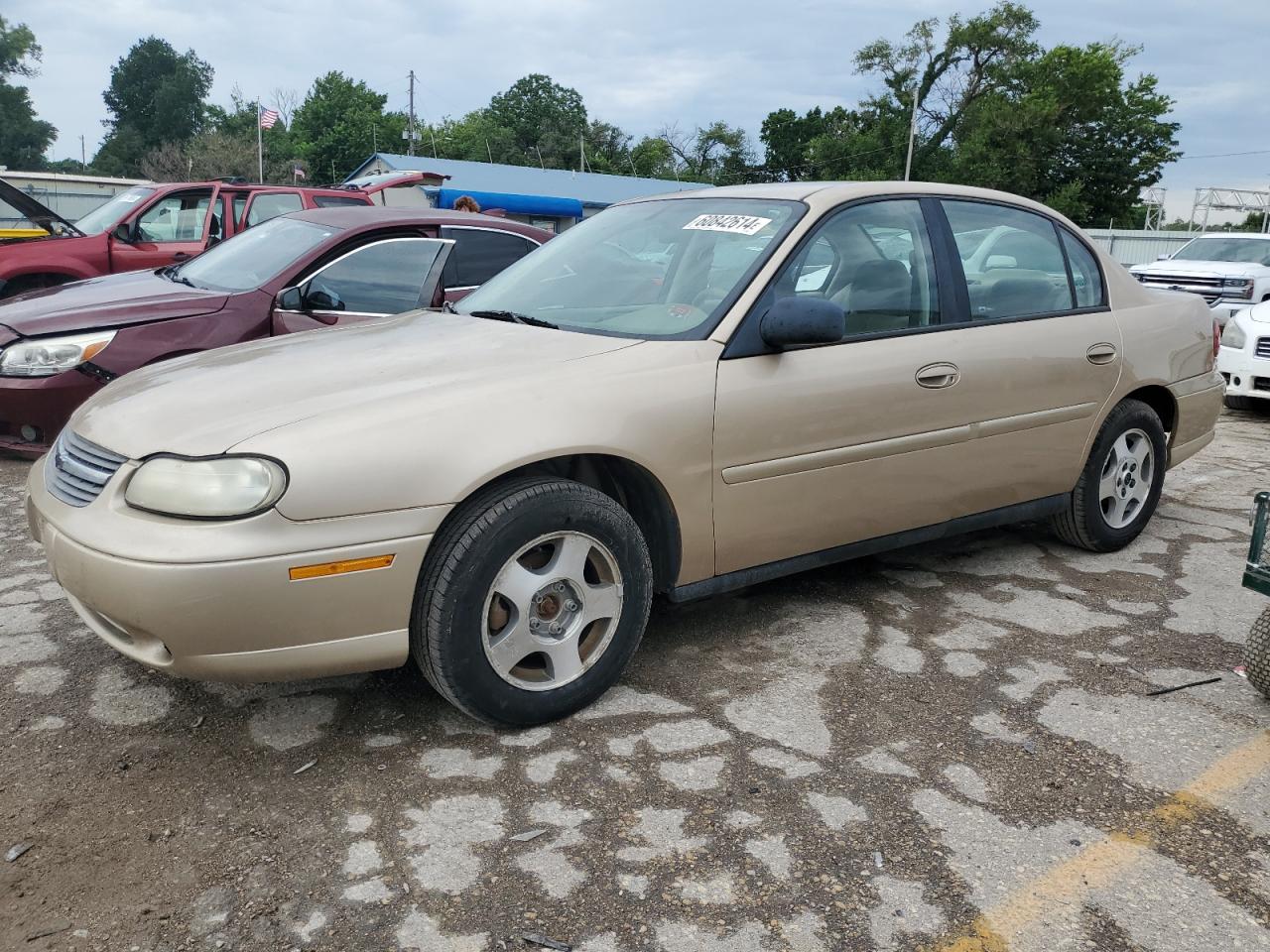 CHEVROLET MALIBU 2005