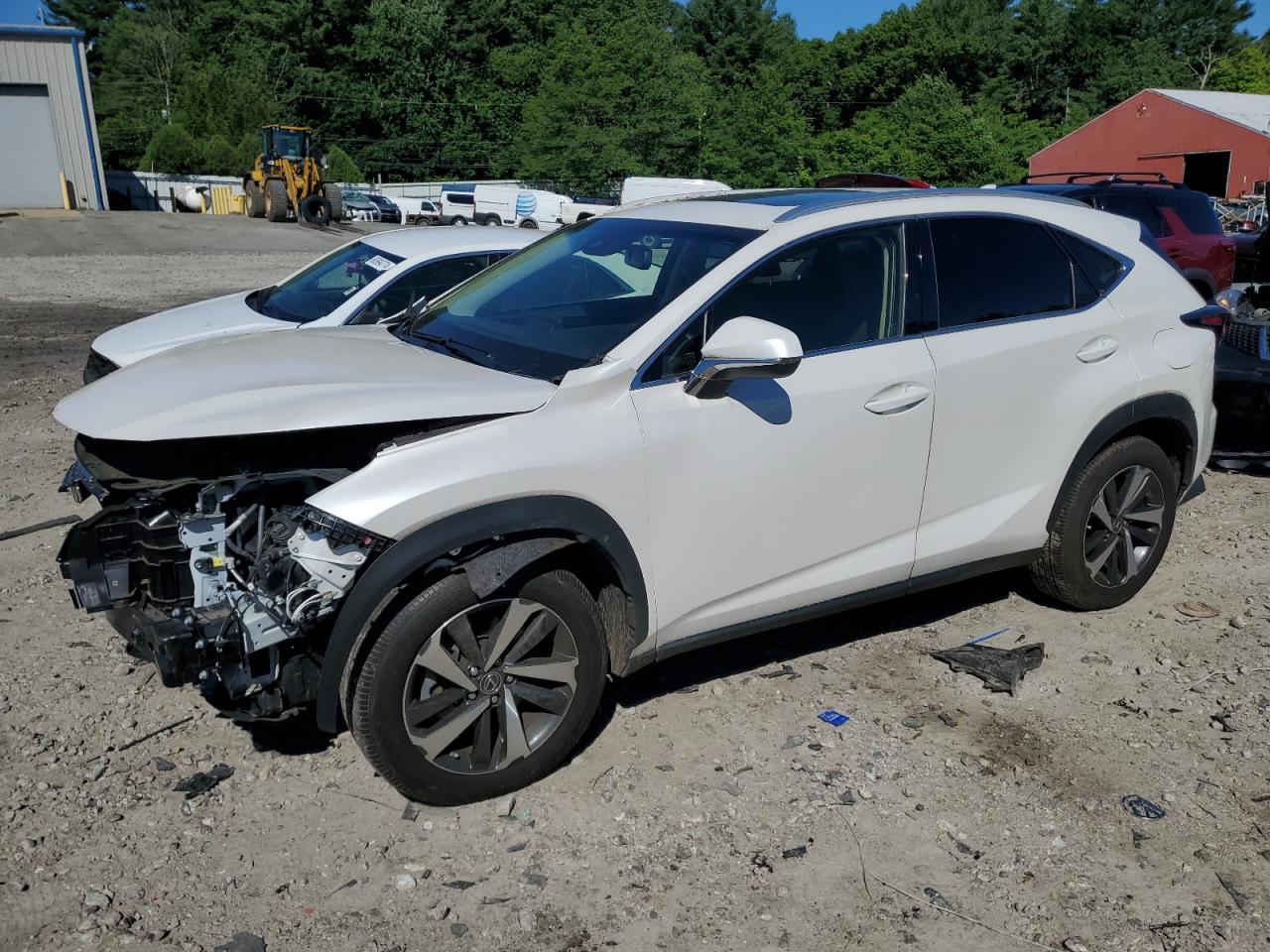 LEXUS NX 2019
