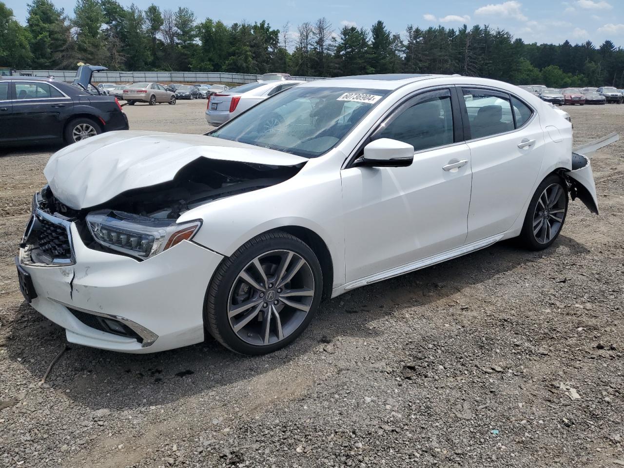 ACURA TLX ADVANC 2019