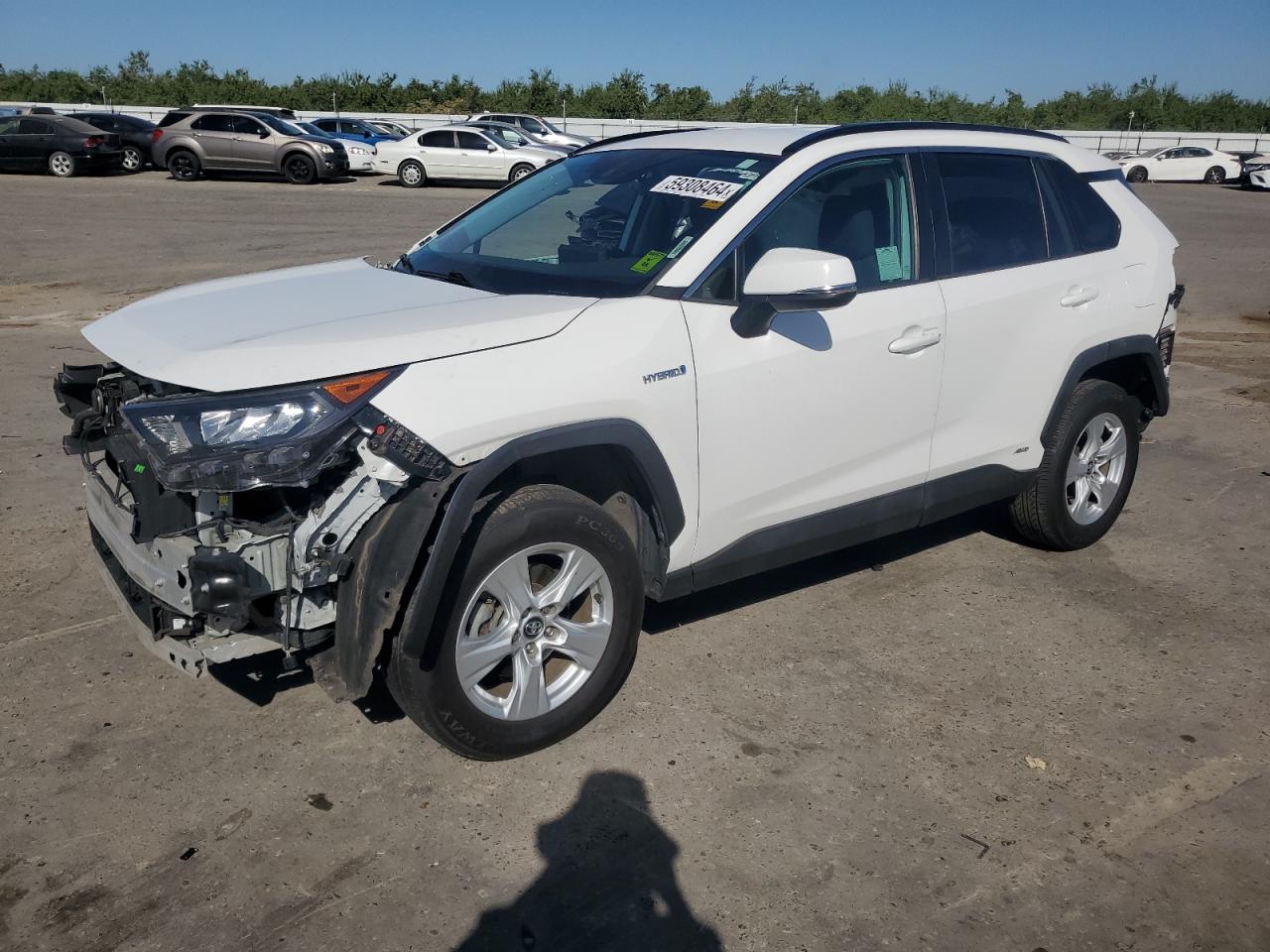 TOYOTA RAV4 LE 2019